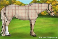 Horse Color:Plaid  Palomino Roan 