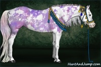 Horse Color:Nacre Watercolor Silver Black Sabino Splash Rabicano
