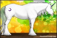 Horse Color:Watercolor Buckskin Sabino Appaloosa Rabicano 