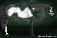 Horse Color:Black Frame 