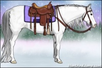 Horse Color:Grullo Sabino Rabicano