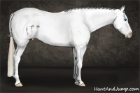 Horse Color:Smoky Black Sabino Splash Tobiano Appaloosa 