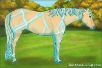 Horse Color:Thunderstruck Watercolor Palomino Dun 