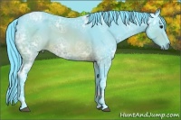 Horse Color:Watercolor Brown Ice 