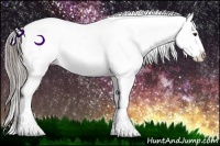 Horse Color:Chocolate Palomino Dun Appaloosa 