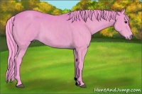 Horse Color:Watercolor Bay  Brindle