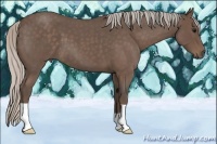 Horse Color:Silver Blue Roan