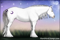 Horse Color:Brown Ice Splash Varnish 