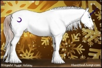 Horse Color:Buckskin Ice Pearl Splash Appaloosa