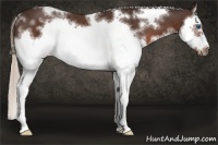 Horse Color:White Spotted Silver Brown Splash Frame 