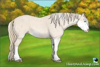 Horse Color:Perlino Sabino Brindle