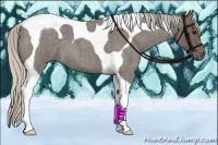 Horse Color:Silver Blue Roan Tobiano 