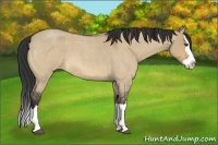 Horse Color:Bay Roan Dun Splash