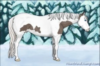 Horse Color:Silver Black Splash Tobiano 