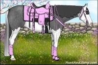 Horse Color:Smoky Blue Roan Splash 