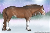 Horse Color:Liver Chestnut Sabino