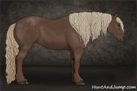 Horse Color:Liver Chestnut Sabino Rabicano