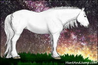 Horse Color:Gray Silver Brown 