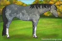 Horse Color:Black Ice 
