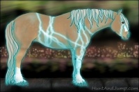 Horse Color:Thunderstruck Palomino 