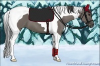 Horse Color:Smoky Grullo Tobiano 