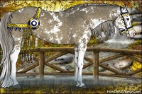 Horse Color:Chocolate Palomino Dun Sabino Splash 