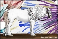 Horse Color:Buckskin Snowcap 