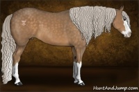 Horse Color:Chocolate Palomino Sabino Splash 