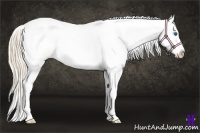 Horse Color:Perlino Roan Dun Frame Appaloosa 