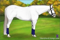 Horse Color:Smoky Blue Roan Frame Appaloosa Rabicano