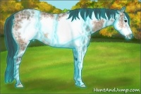 Horse Color:Thunderstruck Buckskin Ice Frame 