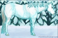 Horse Color:Thunderstruck Smoky Black Appaloosa 
