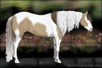 Horse Color:Classic Cream Champagne Splash Tobiano 