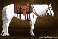 Horse Color:Liver Chestnut Sabino Tobiano Snowflake Varnish
