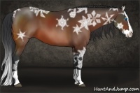 Horse Color:Bay Ice Splash 