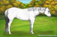 Horse Color:Smoky Grullo Splash Tobiano Frame 
