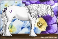 Horse Color:Silver Buckskin Pearl Sabino Splash 