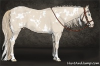 Horse Color:White Spotted Smoky Creme 
