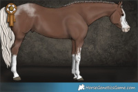 Horse Color:White Spotted Silver Black  Brindle