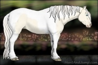 Horse Color:Cremello Dun Tobiano