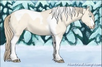 Horse Color:Perlino Dun Tobiano 