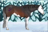 Horse Color:Brown Splash