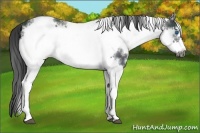 Horse Color:White Spotted Black Frame 