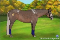 Horse Color:White Spotted Silver Black 