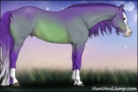 Horse Color:Watercolor Bay Splash