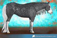 Horse Color:Silver Black Chinchilla Splash 