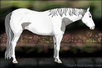 Horse Color:Grullo Roan Splash Tobiano