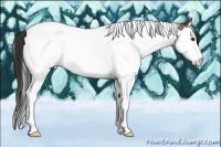 Horse Color:Bay Dun Splash Tobiano Rabicano