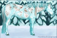 Horse Color:Thunderstruck Brown Sabino