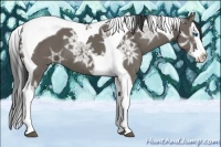Horse Color:Smoky Grullo Ice Splash Tobiano 